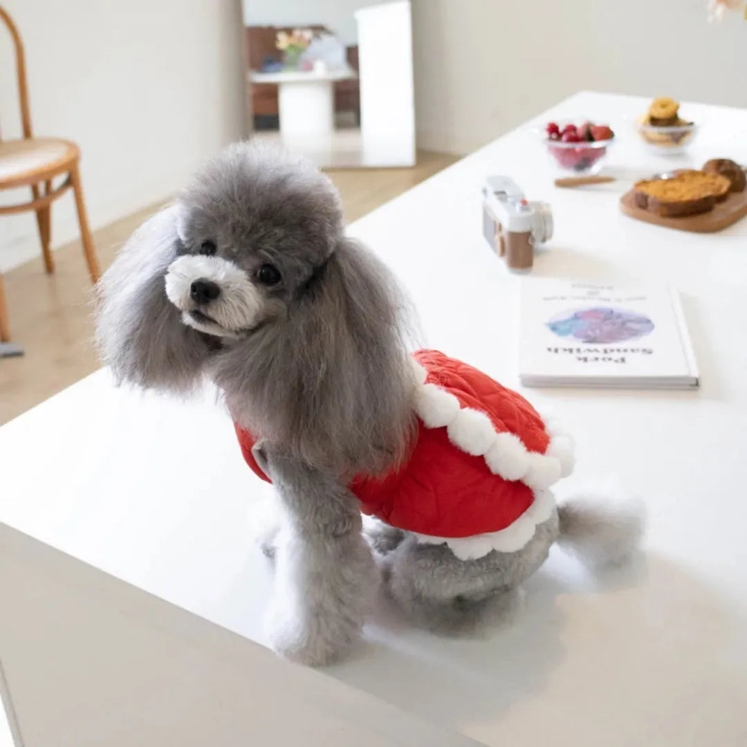 Red Chinese-style pet clothing with thick fur collar and traditional knot fastening for autumn and winter wear