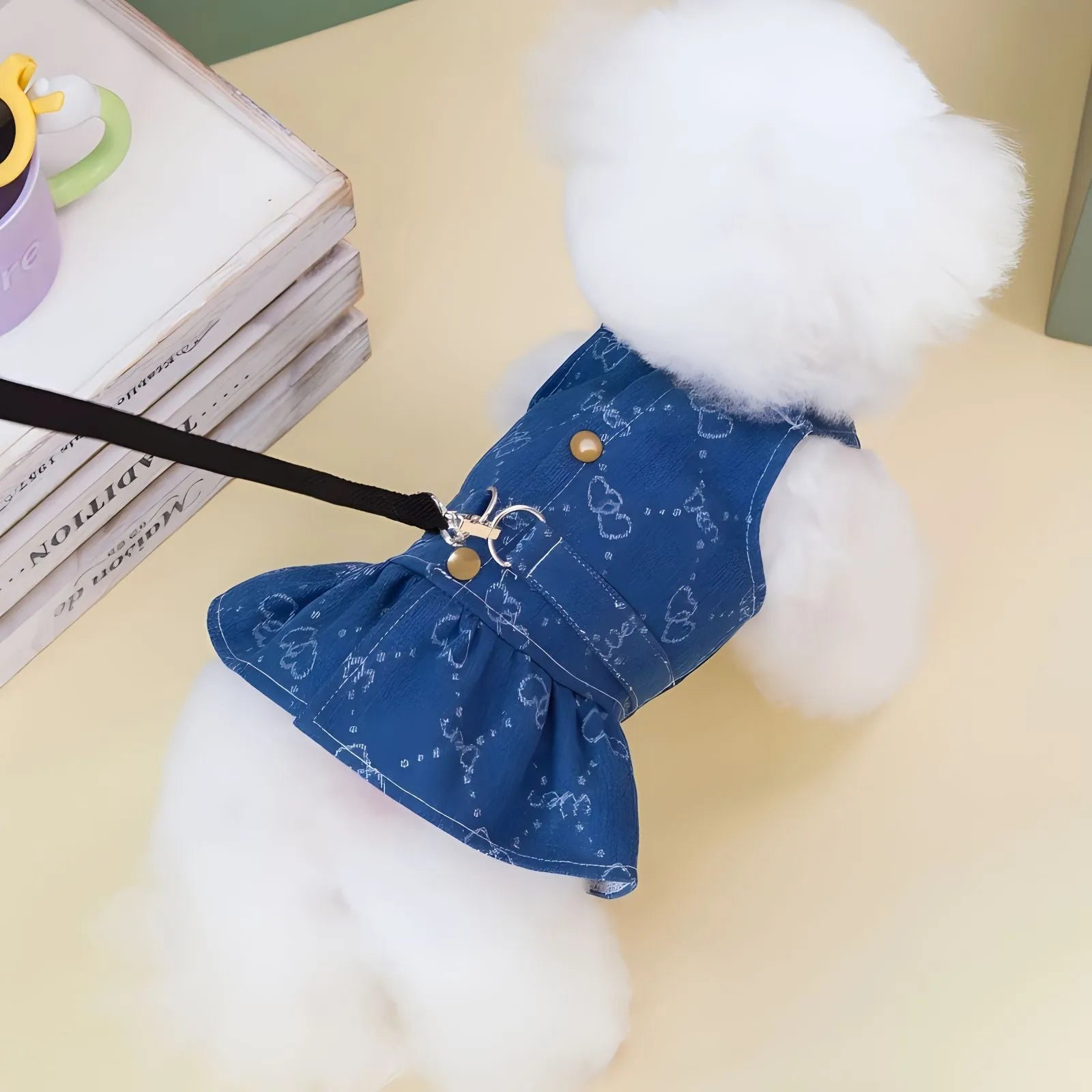Teddy Bichon wearing denim princess dress in spring setting