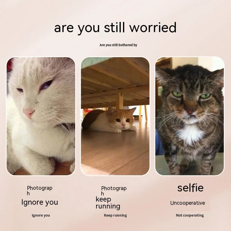 Multifunctional pet camera holder and selfie clip that securely attaches to your phone or mobile device and allows you to capture your furry friend's most playful moments with ease.