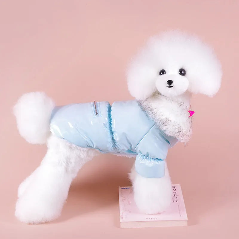 British style blue cotton dog jacket with winter padding shown on a model dog