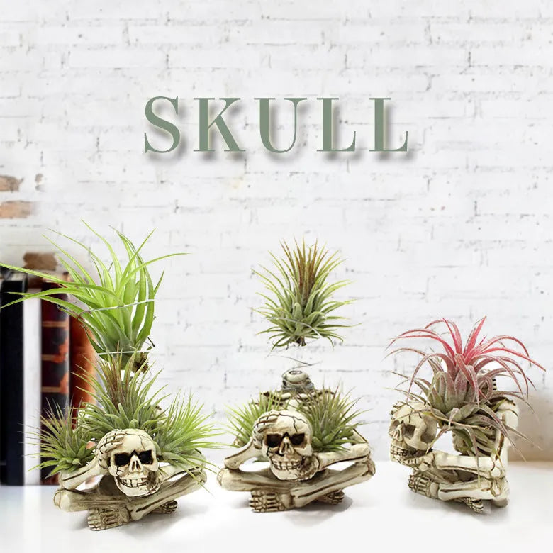 Gothic-style soilless resin bracket with skull motif for air plants, shown with integrated iron stand.