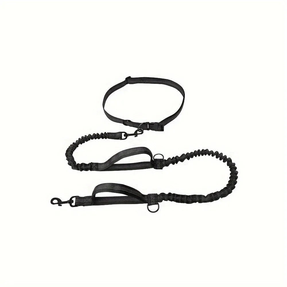 Nylon hands-free dog leash with adjustable waist belt shown in multiple colours