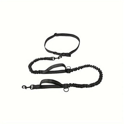 Nylon hands-free dog leash with adjustable waist belt shown in multiple colours