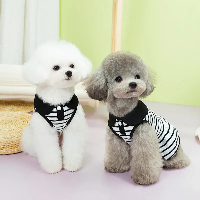 Pet T-Shirt Skirt Summer Stripes Outfit, Dog or Cat Clothing Set with Matching Cotton Top and Striped Skirt in Casual Style, Available in Multiple Sizes XS to XL for Comfortable Warm Weather Wear