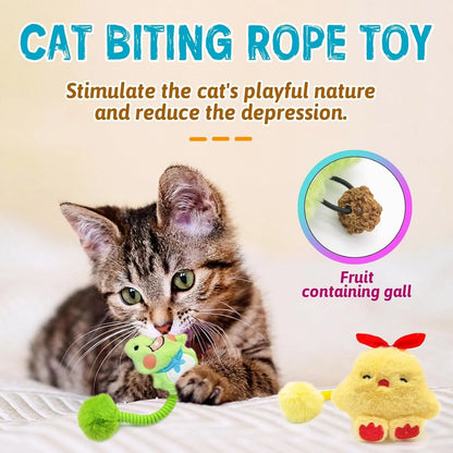 Interactive cat toys with silvervine fruit, spring, fuzzy ball and plush animal designs for kittens