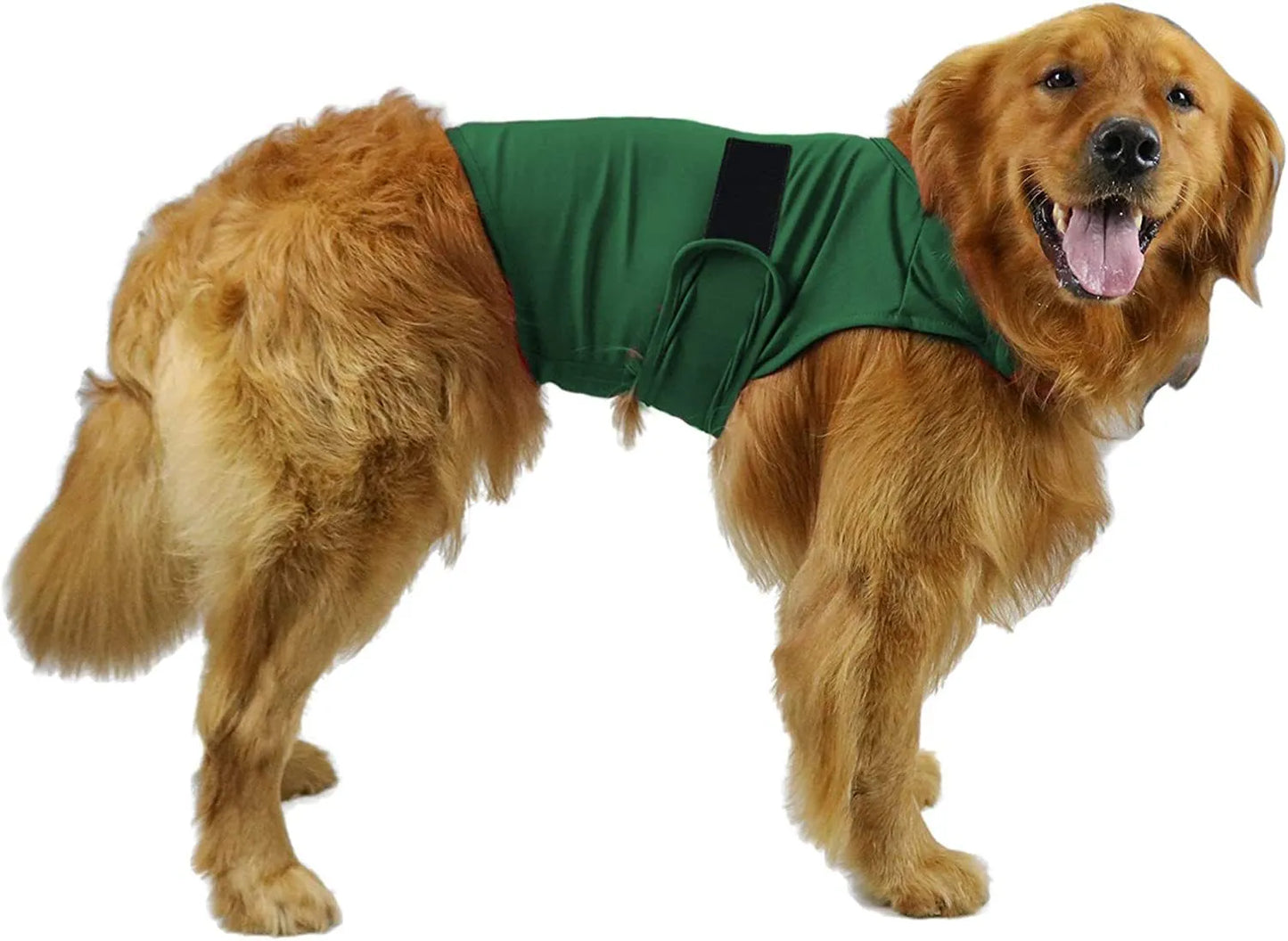 Dog wearing brown anxiety compression vest tank top for separation anxiety relief