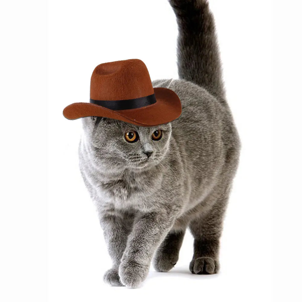 Adjustable cowboy hat for dogs in black, brown, burgundy or coffee colours