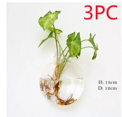 Wall-mounted glass flower vase and terrarium with various design options for customization and decoration