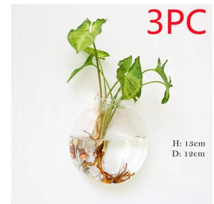 Wall-mounted glass flower vase and terrarium with various design options for customization and decoration