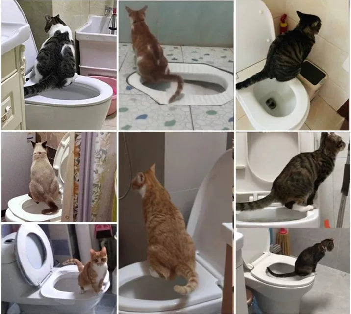 White ABS Cat Toilet Trainer with colour box packaging