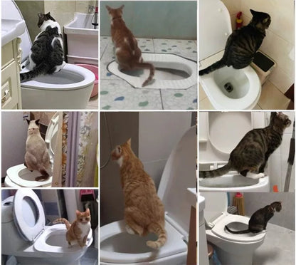 White ABS Cat Toilet Trainer with colour box packaging