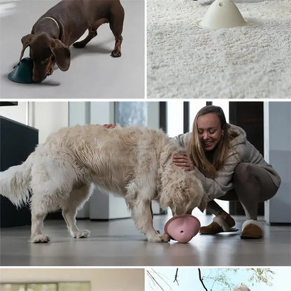 Four coloured interactive dog chew toys with treat slots on smooth surface