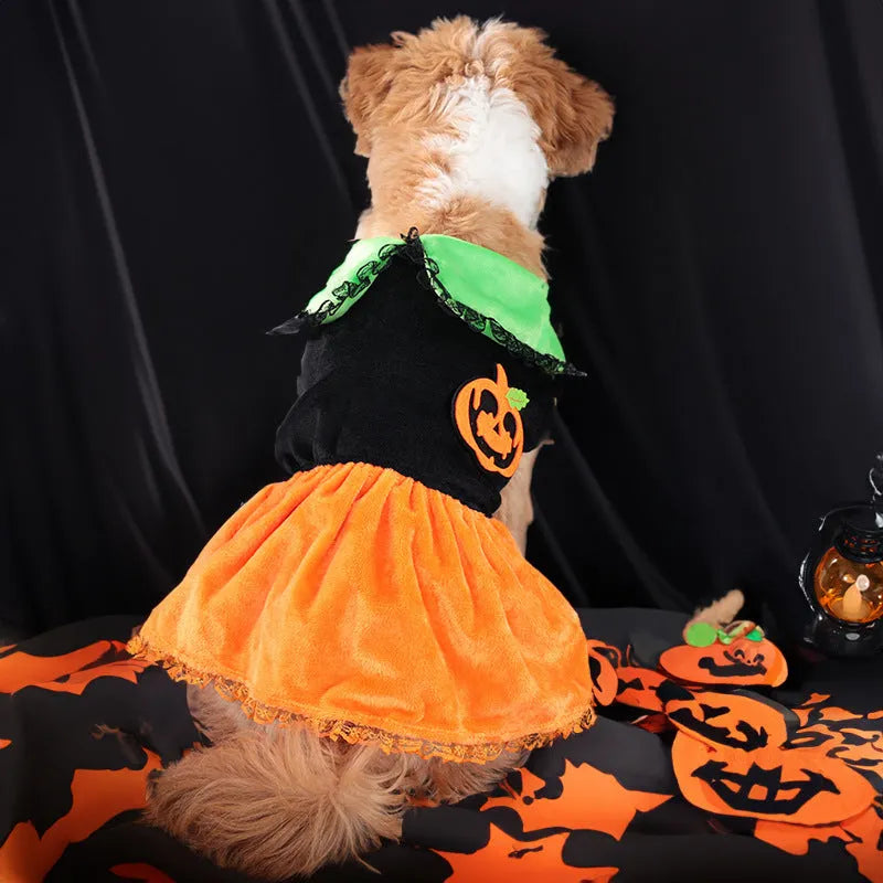 Orange Halloween pumpkin skirt costume and matching sweater for a small dog on a mannequin.