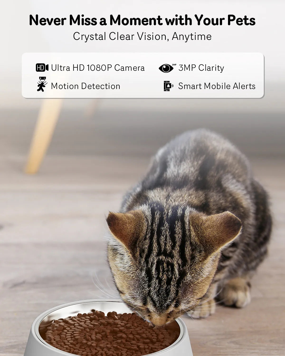 Automatic cat feeder with built-in camera on kitchen floor next to food bowl.