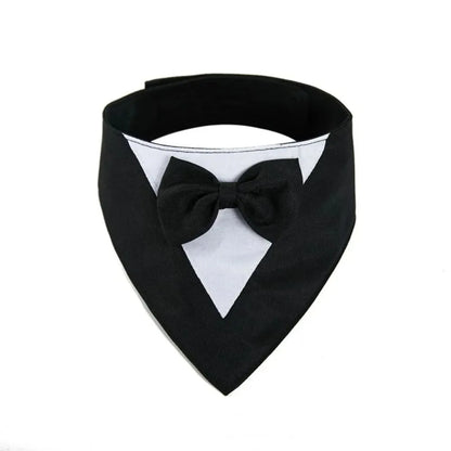 Triangular pet bib with bow detail in assorted colours, shown on a dog as a scarf and drool towel.