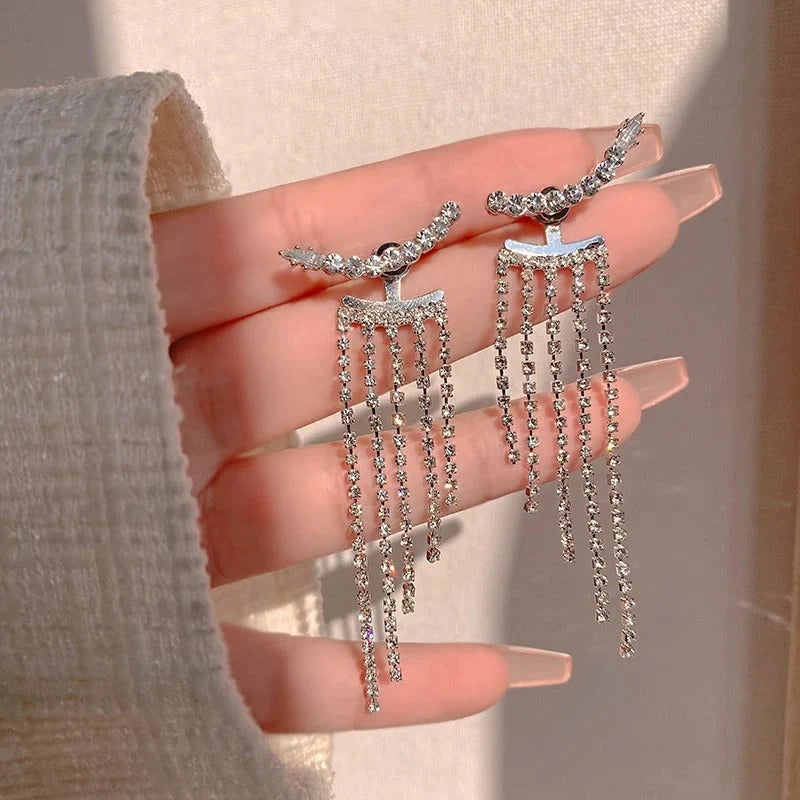 Elegant sterling silver long fringed zircon earrings for women