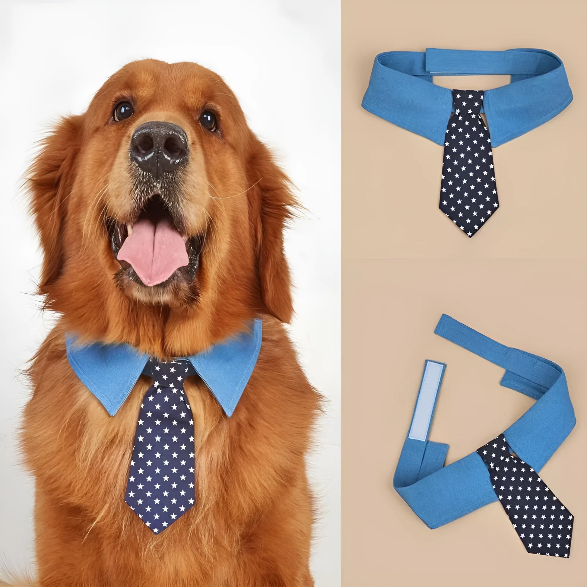 Adjustable denim pet collar with star pattern showing bow and tie styles for formal pet events