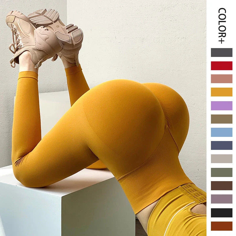 Sculpting Workout Leggings with tummy control for women in various colors and sizes