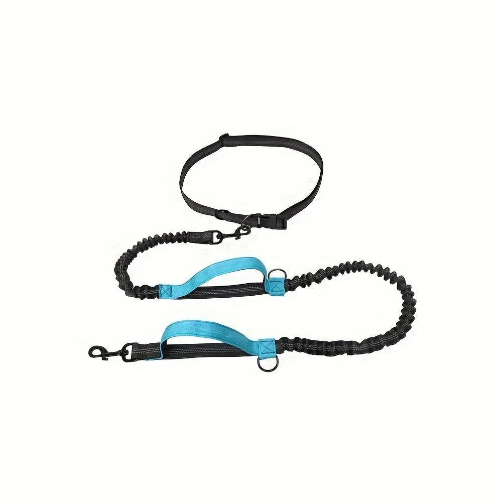 Nylon hands-free dog leash with adjustable waist belt shown in multiple colours