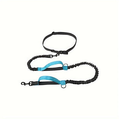 Nylon hands-free dog leash with adjustable waist belt shown in multiple colours