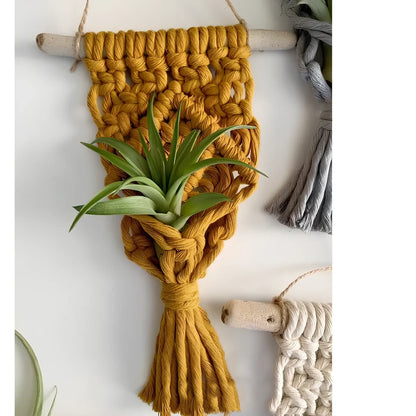 Hand-woven cotton macrame plant hanger with 15cm wooden basket displaying air plant