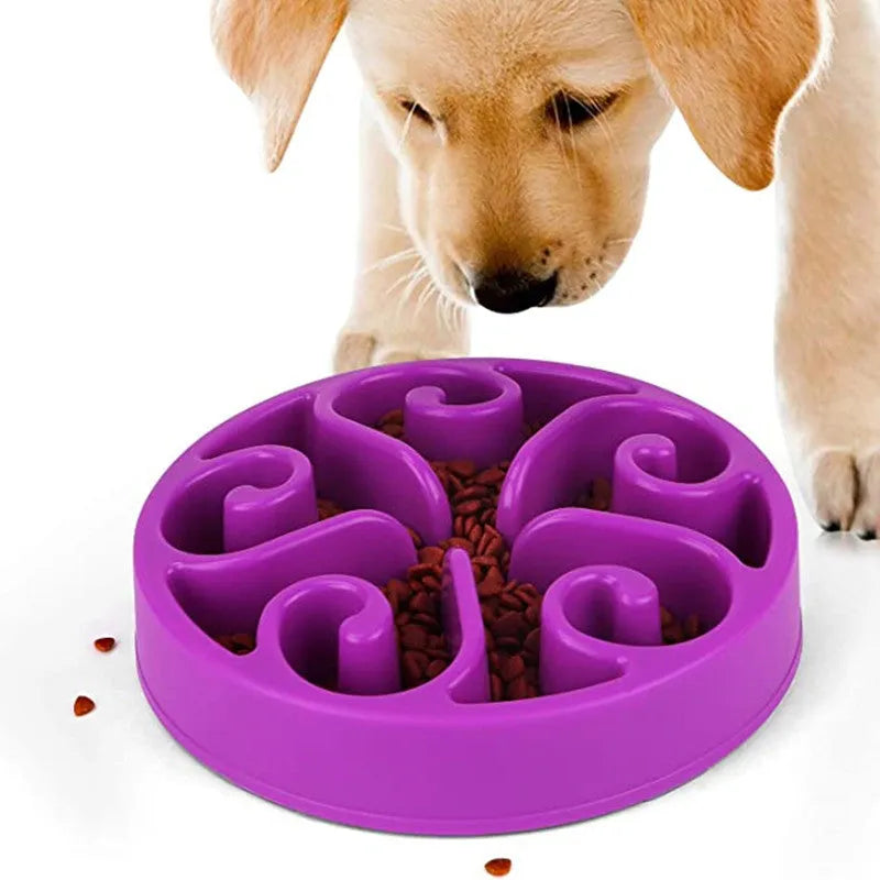 Coloured plastic dog slow feeder bowl showing internal maze pattern and ridges, with wide non-slip base