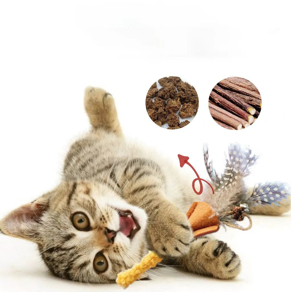 Polygonum wood cat feather chew toy with green and yellow feathers for dental care and interactive play