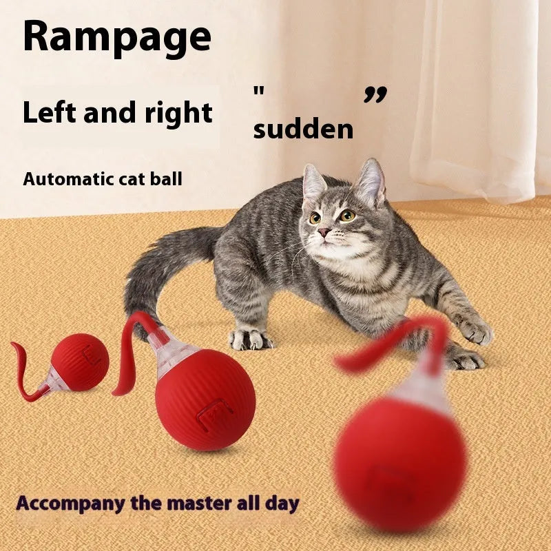 Interactive electronic cat toy ball with automatic rolling features on hardwood floor