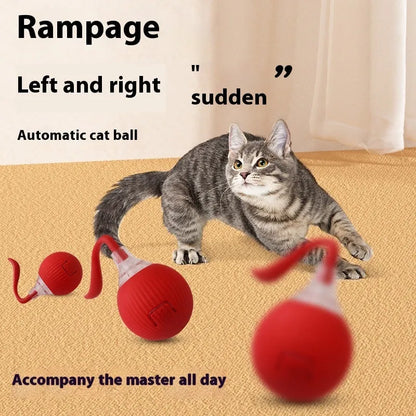 Interactive electronic cat toy ball with automatic rolling features on hardwood floor