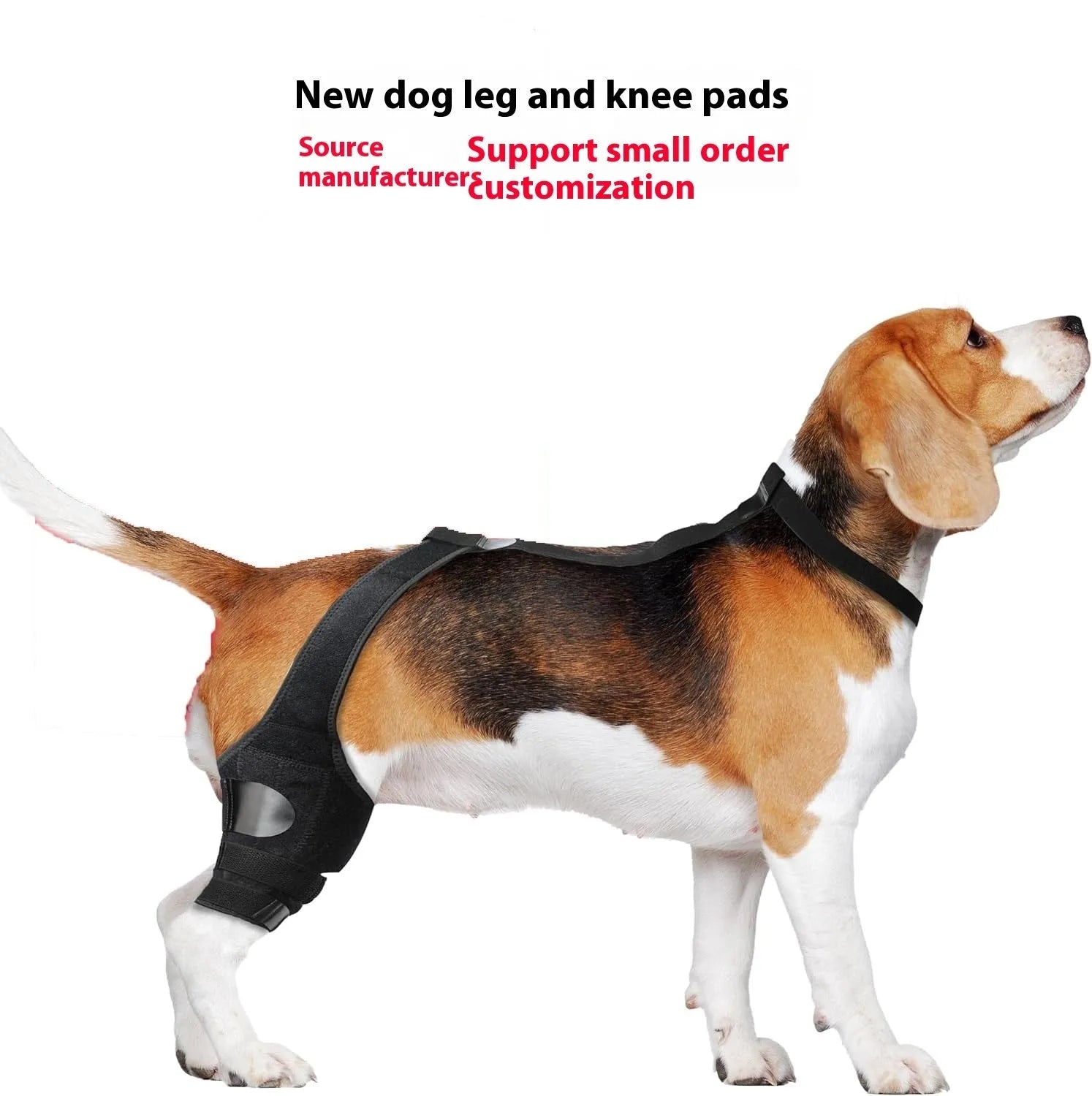Adjustable neoprene dog hind leg support brace for hip dysplasia and arthritis.
