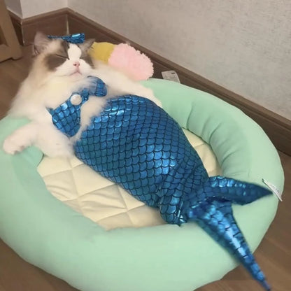 Blue pet mermaid costume with fish tail on a small cat, showing elastic chest strap and decorative bow.