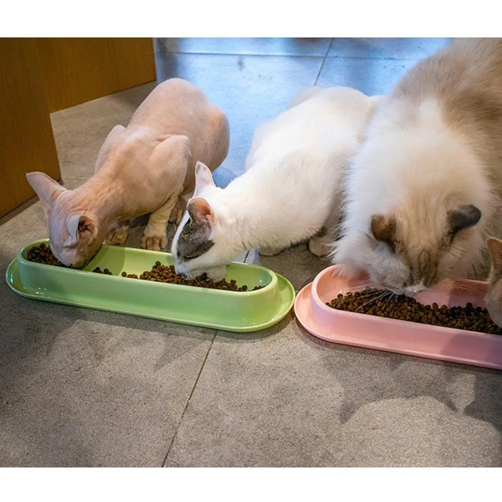 Leakproof pet food and water bowls in green, pink, and yellow colours for dogs and cats
