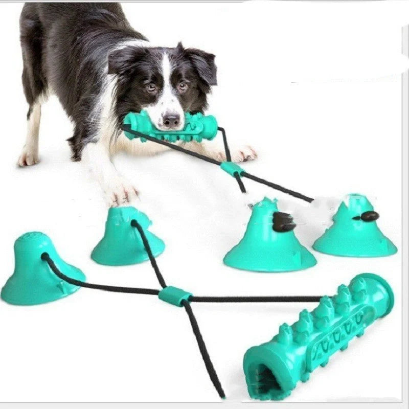 Durable suction cup molar toy for dogs, promoting dental health through chewing