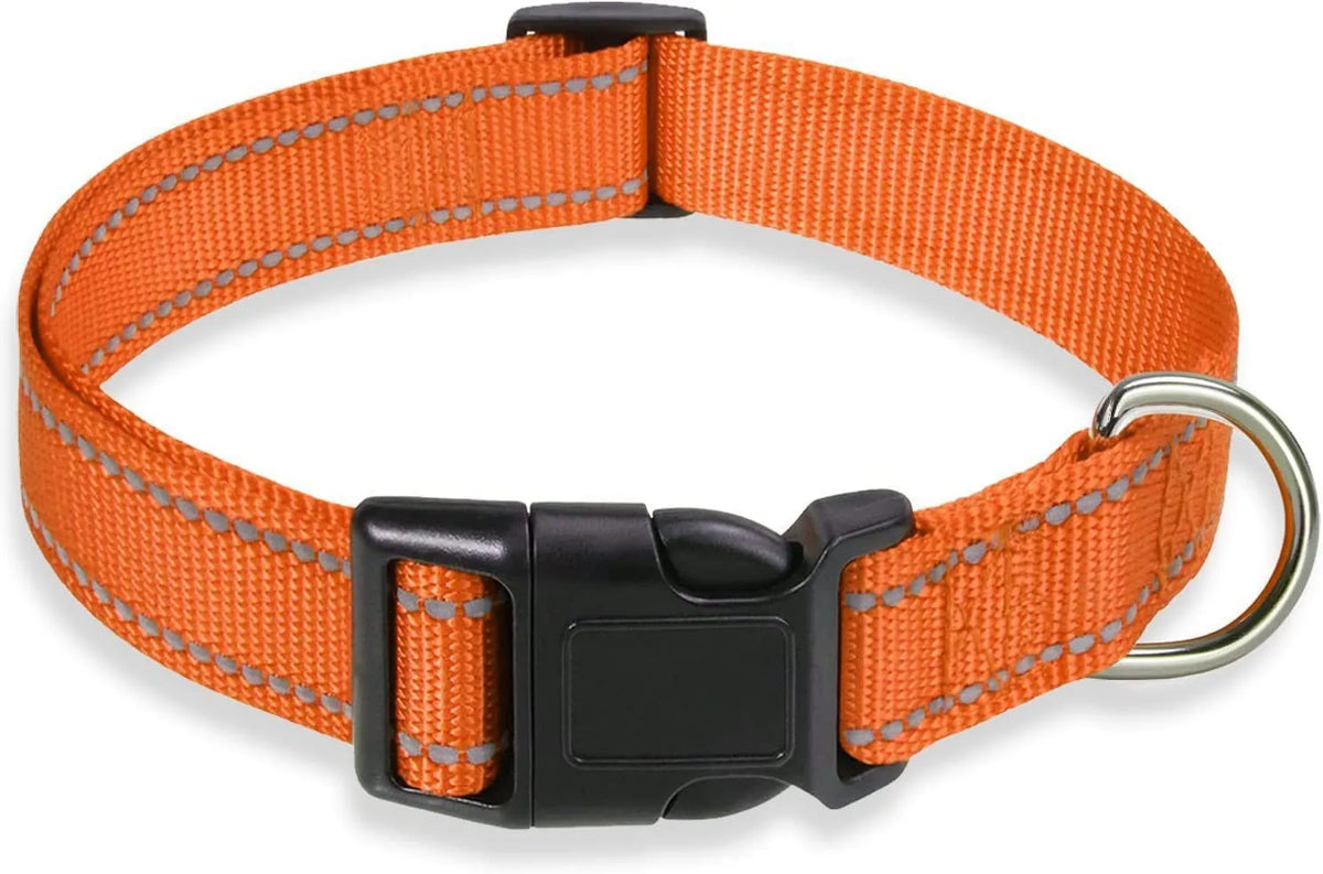Nylon adjustable dog collar with chest strap in multiple colour options on a white background