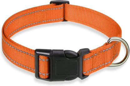 Nylon adjustable dog collar with chest strap in multiple colour options on a white background