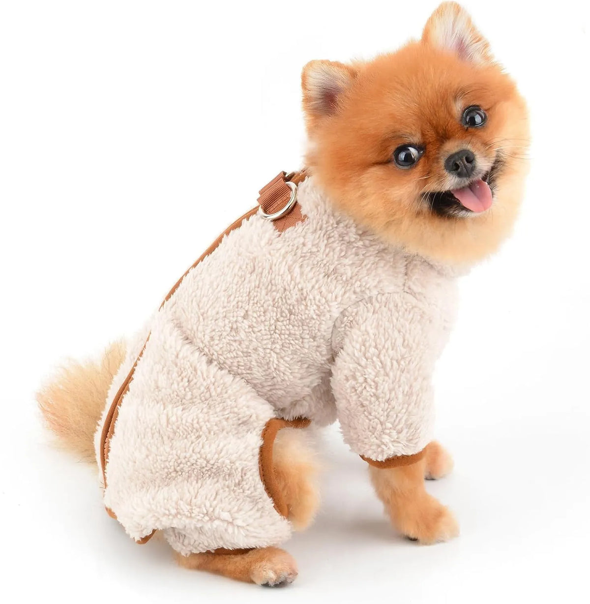 Green plush fleece dog jumpsuit on a small dog, showing the four-leg design and back zipper with D-ring.