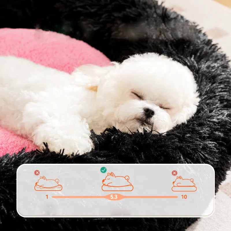 Blue plush kennel bed for dogs or cats with raised sides, shown in a home setting.