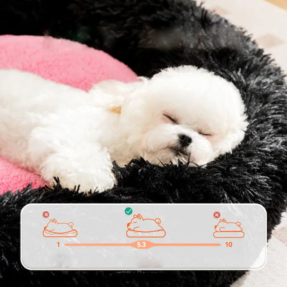 Blue plush kennel bed for dogs or cats with raised sides, shown in a home setting.