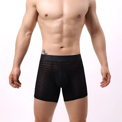 Men's lace mesh boxers in a solid colour on a low-rise waistband.