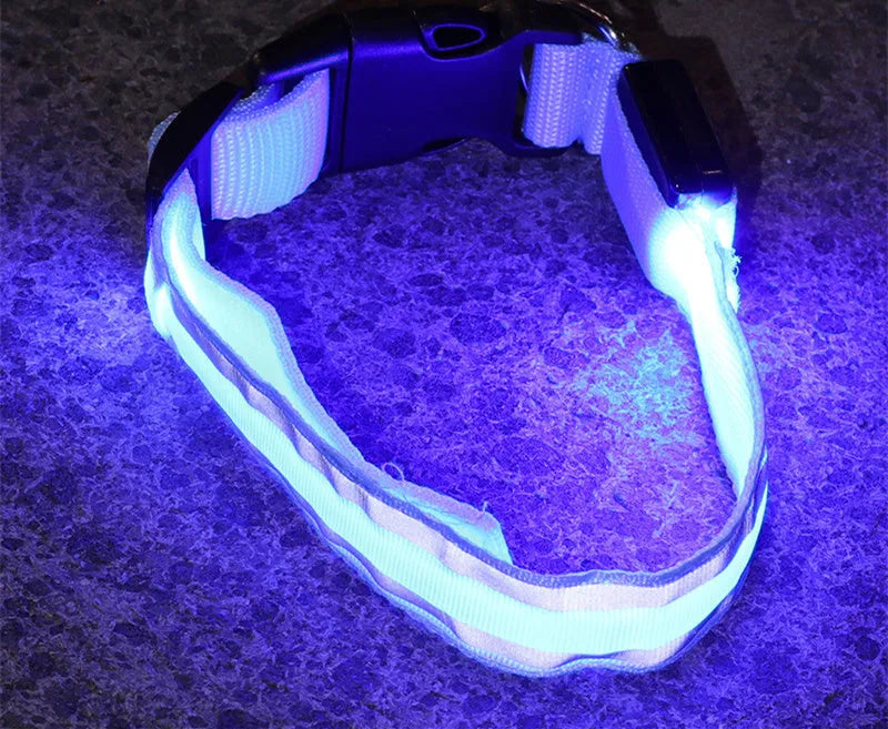 LED luminous dog collar with nylon webbing in multiple colour options showing illumination