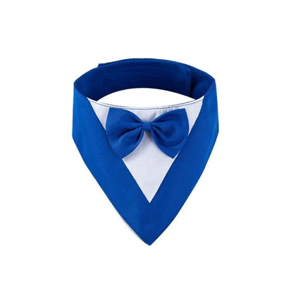 Triangular pet bib with bow detail in assorted colours, shown on a dog as a scarf and drool towel.