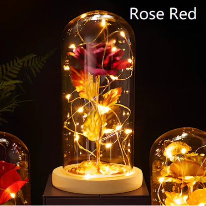 Little Prince Rose Glass Cover with 20cm diameter dome protecting plastic flower arrangement