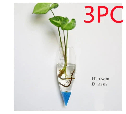 Wall-mounted glass flower vase and terrarium with various design options for customization and decoration