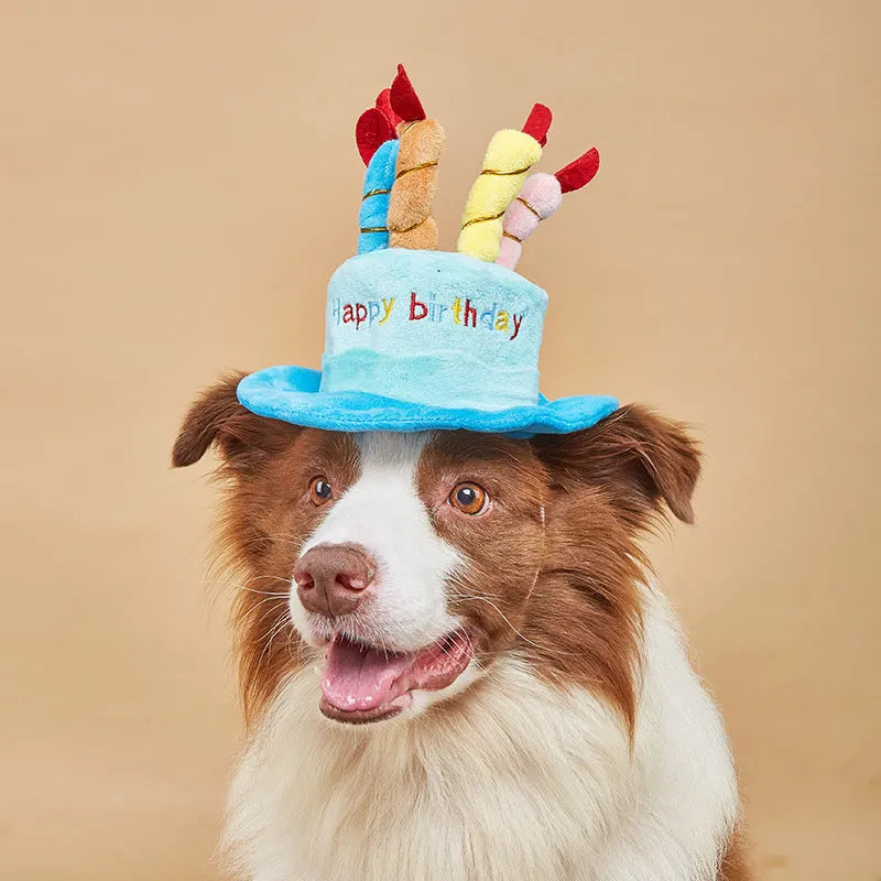 Blue and pink dog birthday hats for toy dogs measuring 21cm wide by 15cm tall