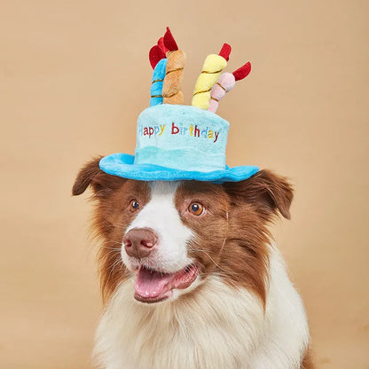 Blue and pink dog birthday hats for toy dogs measuring 21cm wide by 15cm tall