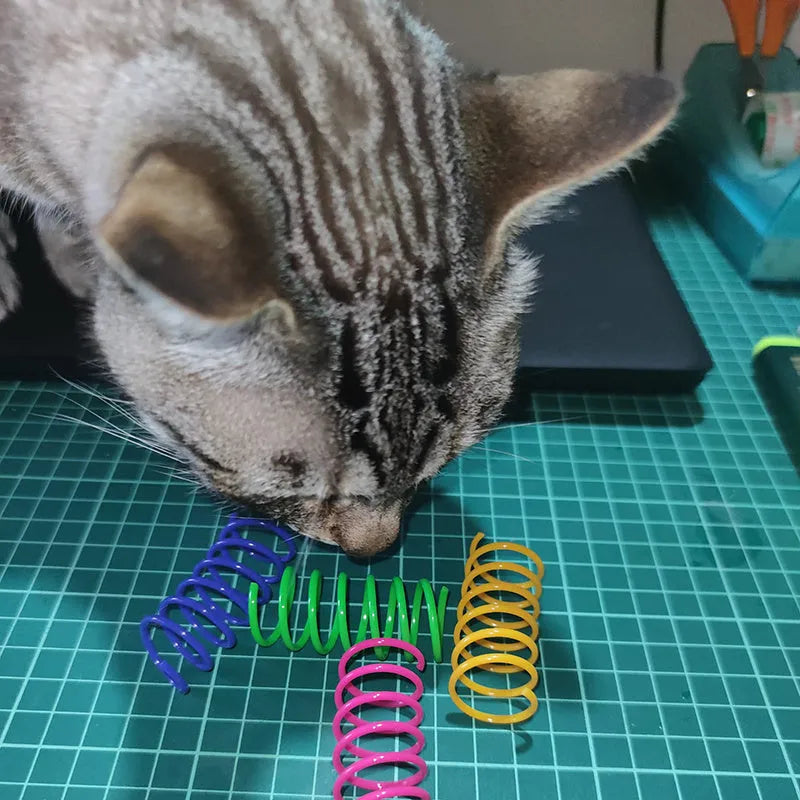 Assortment of colourful plastic coil spring toys for cats on a plain surface.