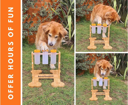 Wooden dog puzzle toy interactive feeder measuring 31x30x20cm in natural wood colour