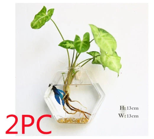 Wall-mounted glass flower vase and terrarium with various design options for customization and decoration