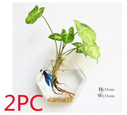 Wall-mounted glass flower vase and terrarium with various design options for customization and decoration
