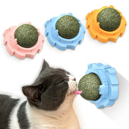 Lion-shaped molar cat toy in blue, orange, or pink colours with flavour options